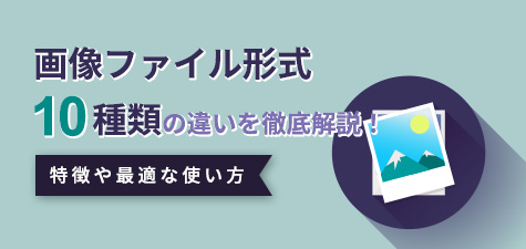 ホームページ作成によく利用される画像ファイル形式の特徴と適切な用途先