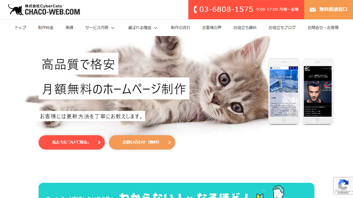 株式会社Cyber Cats